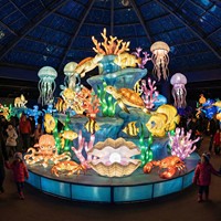 Decoración de Faroles con Forma de Grandes Animales Marinos para Parques de Diversiones, Navidad, Uso Interior/Exterior, Espectáculo de Luces para Parques Temáticos