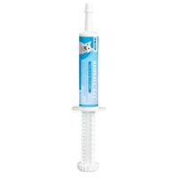 Suppléments pour animaux de compagnie en gros Gel nutritionnel à la lysine Soutient le système immunitaire Supplément de L-lysine pour chiens et chats