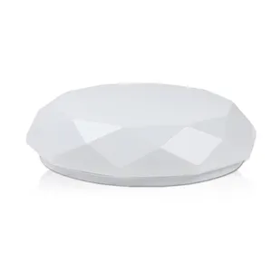 White Simple Modern Surface Mounted Led Ceiling Light 24w For Bedroom