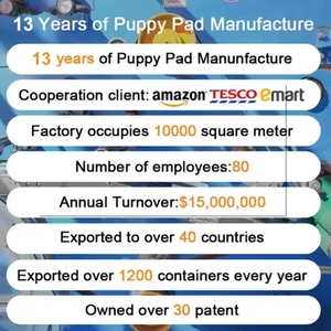 Almohadillas Desechables para Cachorros Machos, Especializadas en Posicionamiento Fijo, Adhesivas para Pared, para Entrenamiento de Orinal - Product Image 3