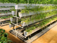 Aardbeienkwekerij Hydroponisch Irrigatiesysteem Verticale Groei Goot Enkelvoudige Kas Polyvinylchloride Afdekking Tuin