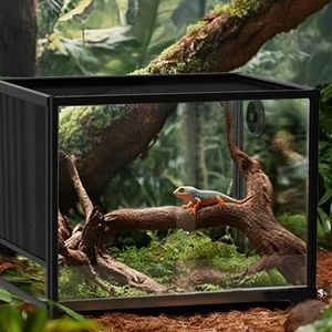 Enclos pour amphibiens et reptiles 2 en 1 - Verre ultra-blanc écologique - Loquet anti-évasion - Habitat de forêt tropicale pour animaux arbres - Product Image 6