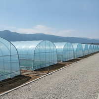 Serre tunnel agricole monopente en acier galvanisé avec film PE pour la culture de tomates, laitues et concombres