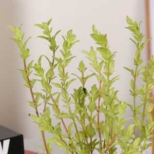 Plantes artificielles <span class=keywords><strong>en</strong></span> <span class=keywords><strong>pot</strong></span> <span class=keywords><strong>de</strong></span> <span class=keywords><strong>vanille</strong></span> FAUX, plantes vertes artificielles personnalisées KH Outdoor pour la décoration <span class=keywords><strong>de</strong></span> la maison et des hôtels - Product Image 3