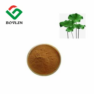 Atacado de Alta Qualidade Nuciferina Grau Alimentício 98% Extrato de Folha de Lótus em Pó Embalagem Tambor 1kg - Product Image 3