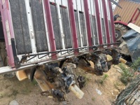 Machine à repiquer le riz à quatre roues motrices Diesel Yanmar, avec une sécurité élevée, adaptée à diverses applications agricoles