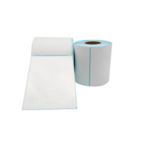 Papel Térmico para Etiquetas E-Packet, Resistente a Tres Factores, 100 20 30 50 70 80 90 100, Autoadhesivo, para Códigos de Barras, Formato Cuadrado