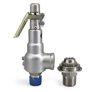 Hochleistungs-Durchfluss druck regelung Druckentlastungs-Sicherheits ventil Sicherheits ventil aus Edelstahl
