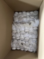 Plumes de coq blanches teintées pour artisanat, bricolage, montage de mouches, carnaval, boucles d'oreilles, costumes et robes