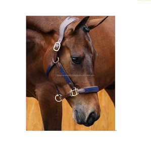 Bride de cheval en nylon anatomique avec rembourrage en cuir souple Style de selle occidentale et anglaise Matériau en PVC PP avec licou en corde - Product Image 2