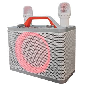 Nhà Máy Giá không dây năng động mic hệ thống có thể sạc lại pin không dây karaoke Microphone loa cho bé - Product Image 1