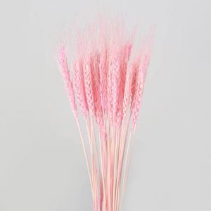 新2022创意非凡鲜花交付保存小麦家居装饰礼品花墙小麦 - Product Image 4