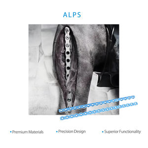 Pelat Pengunci Rekonstruksi Titanium Ortopedi TOOLMED untuk Hewan Kecil Penggunaan Veteriner Bersertifikat CE Kelas II Osteosintesis - Product Image 1