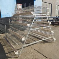 Granja avícola 5 niveles 250 jaulas de pollo de malla de acero para pájaros nueva capa de batería tipo A jaula de gallina uso doméstico modelo automático 1 año