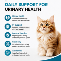 Compléments à croquer pour la santé des voies urinaires avec extrait de canneberge, taurine et probiotiques – Soutien rénal et urinaire – Personnalisation OEM