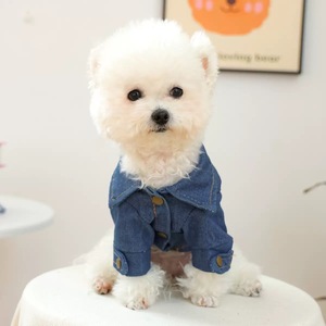 Suprimentos para Animais de Estimação <span class=keywords><strong>2026</strong></span>, Novas Roupas de Moda para Outono e Inverno, Casaco de Jeans para Cães com Letras - Product Image 3