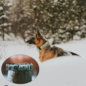 5CM Impression Personnalisée Extra Large Nylon Métal Matériel Boucle À Dégagement Rapide Tactique Épais Grand Chien Collier Avec Poignée - Product Image 6