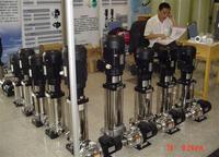 Pompe à eau centrifuge verticale immergée multi-étages professionnelle en acier inoxydable série CDLK, prix usine, OEM ODM, haute performance