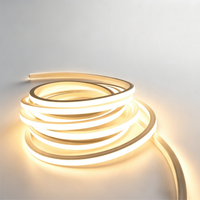 Bande lumineuse LED flexible en silicone étanche IP67 avec télécommande 24V DC pour éclairage intérieur et extérieur