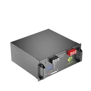 Lithium Ion Solar Storage Battery 51.2V 100Ah 5Kw Rack Mounted Lifepo4 Iron Batteries With CE MSDS