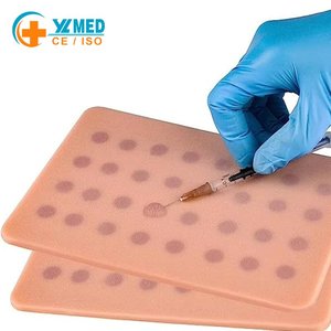 แผ่นทดสอบผิวหนัง 32 จุด โมดูลทดสอบผิวห<span class=keywords><strong>น</strong></span>ัง แผ่นฝึกฉีดยาเข้าใต้ผิวหนัง สำหรับฝึกเจาะเลือด แบบจำลองการศึกษาทางการแพทย์ - Product Image 1