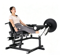 Appareil multifonctionnel d'extension des jambes, presse à jambes assise, machine d'exercice pour abdominaux et levage des hanches