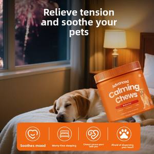 Bâtonnets à mâcher dentaires pour chiens de marque privée suppléments calmants de calcium anti-stress pour les soins de santé des animaux de compagnie - Product Image 2