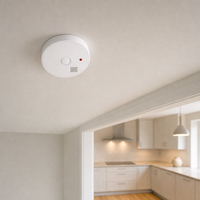 Promotion : Détecteur de fumée autonome avec bouton de test et fonction silencieuse, capteur de sécurité incendie domestique pour chambre et appartement