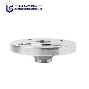 Bride à souder en acier inoxydable 304L |   Bride à moyeu pour usage standard |   SS304 <span class=keywords><strong>WNF</strong></span> pour CVC et construction civile - Product Image 3