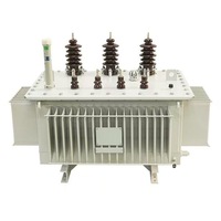 Transformateur immergé dans l'huile S20-M 315 kVA, bobinage en cuivre de haute qualité, noyau CRGO, faible perte, fabriqué en Chine pour postes de distribution