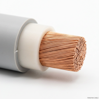 Cable de Alimentación Flexible Cu/XLPE/LSZH 0.6/1kV, Conductor de Cobre Clase 5, LSZH Ignífugo, Aislamiento XLPE, Cubierta de PE