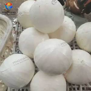 Juego de Máquinas Peladoras de <span class=keywords><strong>Coco</strong></span> Fengxiang para Plantas de <span class=keywords><strong>Coco</strong></span> en Indonesia - Product Image 5