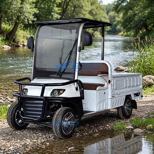 Voiturette de golf électrique 2 places avec benne hydraulique élévatrice, mini-voiturette de golf, véhicule électrique, chariot de golf - Product Image 1