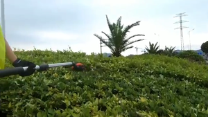 Taille-haie longue portée Nplus Pole avec batterie 7.8ah Produit léger et efficace - Product Image 5