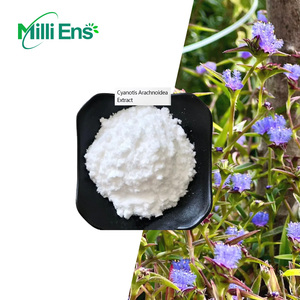 Cấp thực phẩm <span class=keywords><strong>Beta</strong></span> <span class=keywords><strong>ecdysterone</strong></span> bột 100% tự nhiên cyanotis arachnoidea chiết xuất bột - Product Image 2