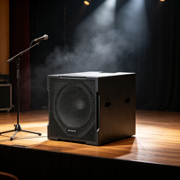 Système de Subwoofer Actif Robuste pour Scène, 32Hz 101dB SPL, 18 Pouces, Double Bobine Mobile, en Contreplaqué de Bouleau avec Polyurée, pour Basses Profondes, Type Line Array