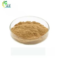 Poudre d'extrait de Gojiberry naturel Offre Spéciale poudre de Wolfberry de haute qualité