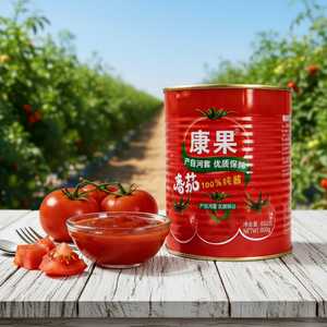 <strong>First</strong>-Choice Kangguo 140g Canned Tomato Paste (<strong>Ketchup</strong>) Customizable OEM Normal Lid 24 Months Shelf Life Competitive Price - Product Image 1