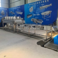 Automatische Palmdadels Droogborstelwasmachine Datum Fruitreiniging Sorteerproductielijn