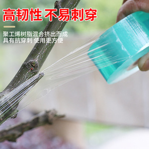 Pvc Grafting Film 2Cm Wide Transparent Self Adhesive Tape For Fruit Tree Grafting - Product Image 2