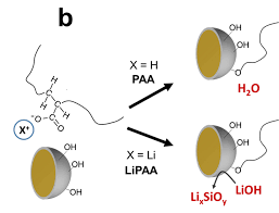 Gelon-archivador de ácido poliacrílico (PAA), electrolito sólido interfásico en ánodos de silicona - Product Image 6