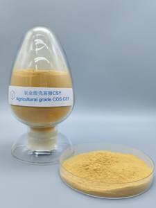 농업 등급 CSY 유형 키토산 올리고당 분말 공장 가격 - Product Image 6