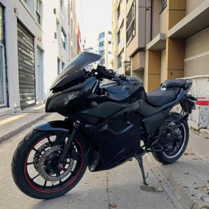Nueva Motocicleta Todoterreno de la UE de 250cc-400cc, Modelo Popular, Motocicleta de Calle a Gasolina, Motocicleta de Alto Rendimiento de 72v - Product Image 1