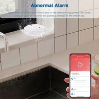 Détecteur de fuite d'eau intelligent Tuya ZigBee WiFi, alarme d'inondation avec passerelle Zigbee, certifié CE/FCC, garantie de 3 ans
