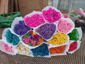 Vente en gros de fournitures de <span class=keywords><strong>fleuriste</strong></span> fleurs conservées souffle de bébé fleurs décoratives intérieures pour la décoration intérieure - Product Image 5