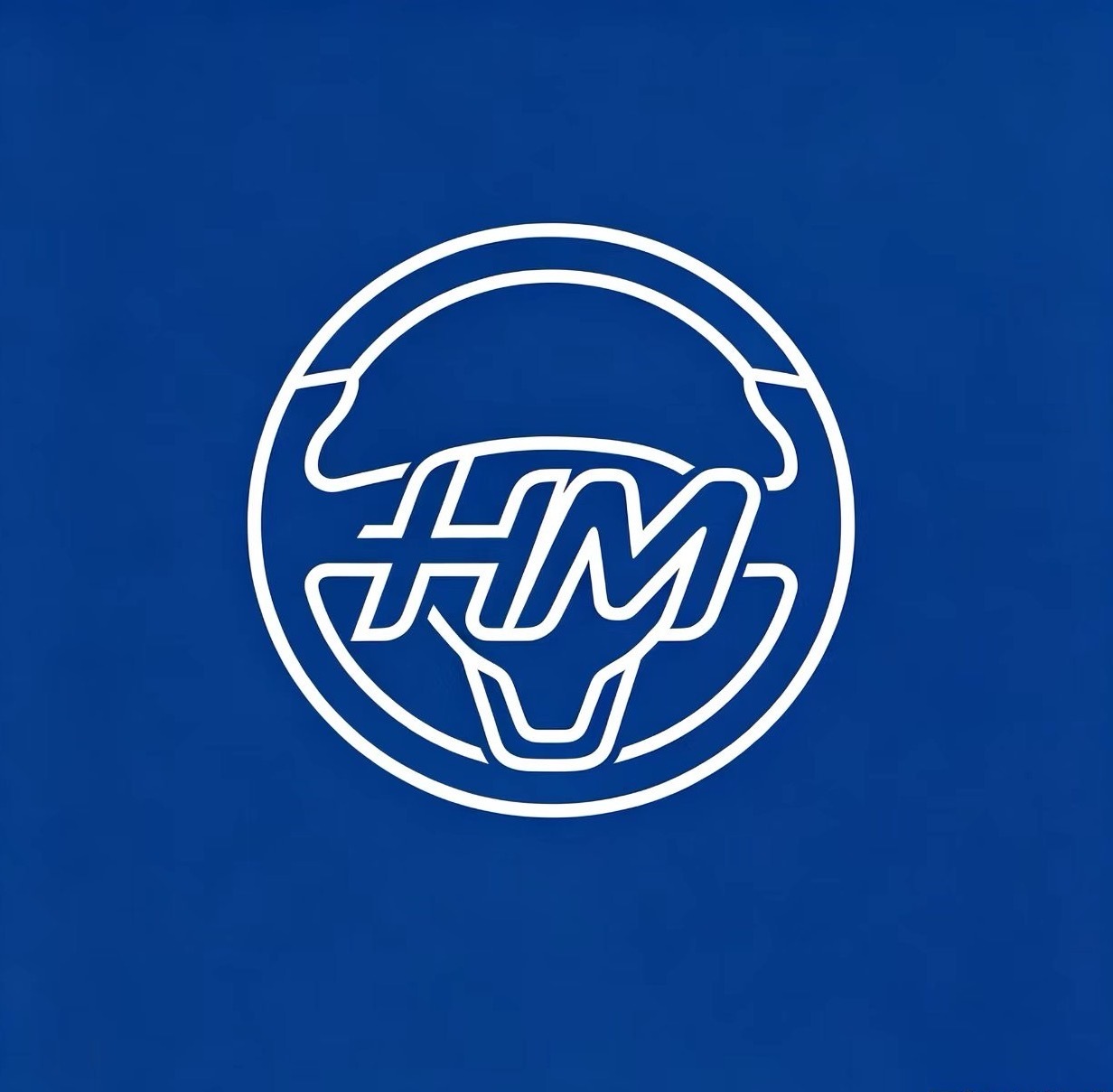Ningxia Huimu International Trade Co., Ltd. logo