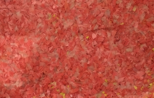 TongSheng <b>Automatic</b> CE Certified 11kW Double Shaft Flat Blade Recycling Plastic Bottle Shredder Grinder - Product Image 6