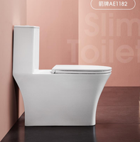 WC moderne en céramique ARROW One Piece à double chasse et à évacuation en S, autonettoyant