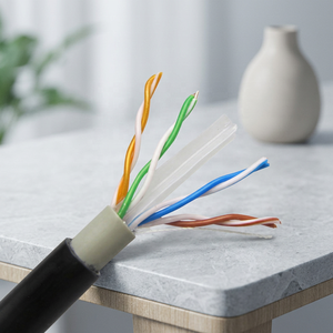 1000FT 305MทองแดงPVC PEคู่Sheath Cat6 UTPกลางแจ้งเครือข่ายLan <span class=keywords><strong>Ethernet</strong></span> <span class=keywords><strong>Cat</strong></span> <span class=keywords><strong>6</strong></span> สาย - Product Image 1