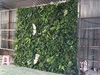 Dinding Buatan Ramah Lingkungan, Bahan Tidak Beracun dan Tidak Berbau untuk Dekorasi Rumah, Kantor, Luar Ruangan, dan Pernikahan dengan Hiasan Bunga